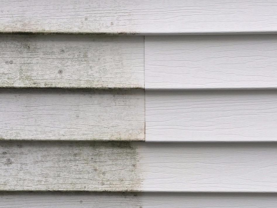 Safety First: Essential Safety Precautions for Pressure Washing Siding