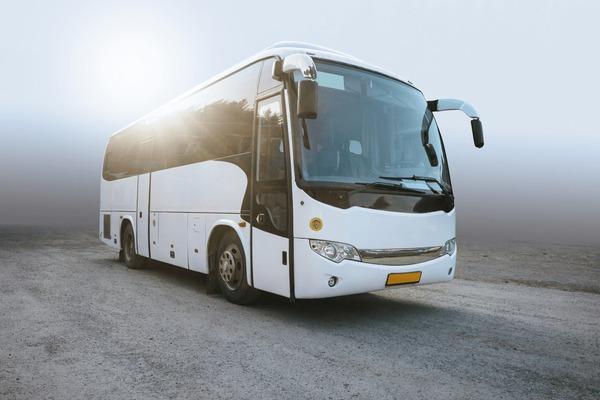 Buses & Shuttles
