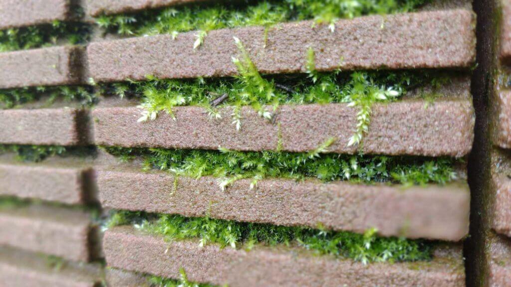 Brick & Masonry