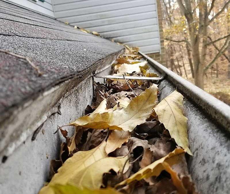 Debris Removal