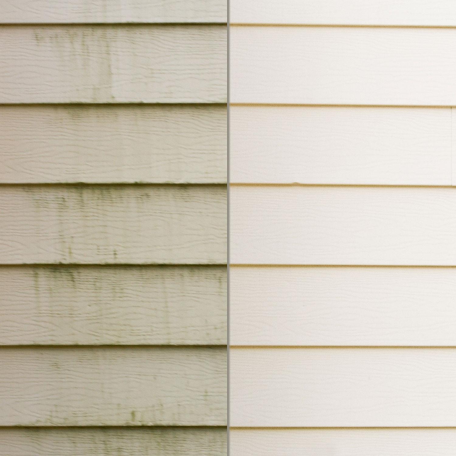 Mold & Algae Removal